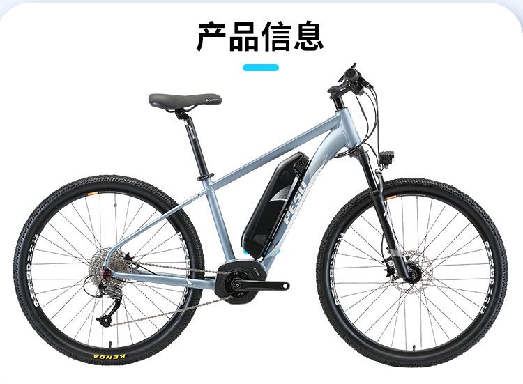 白鲨_03.jpg